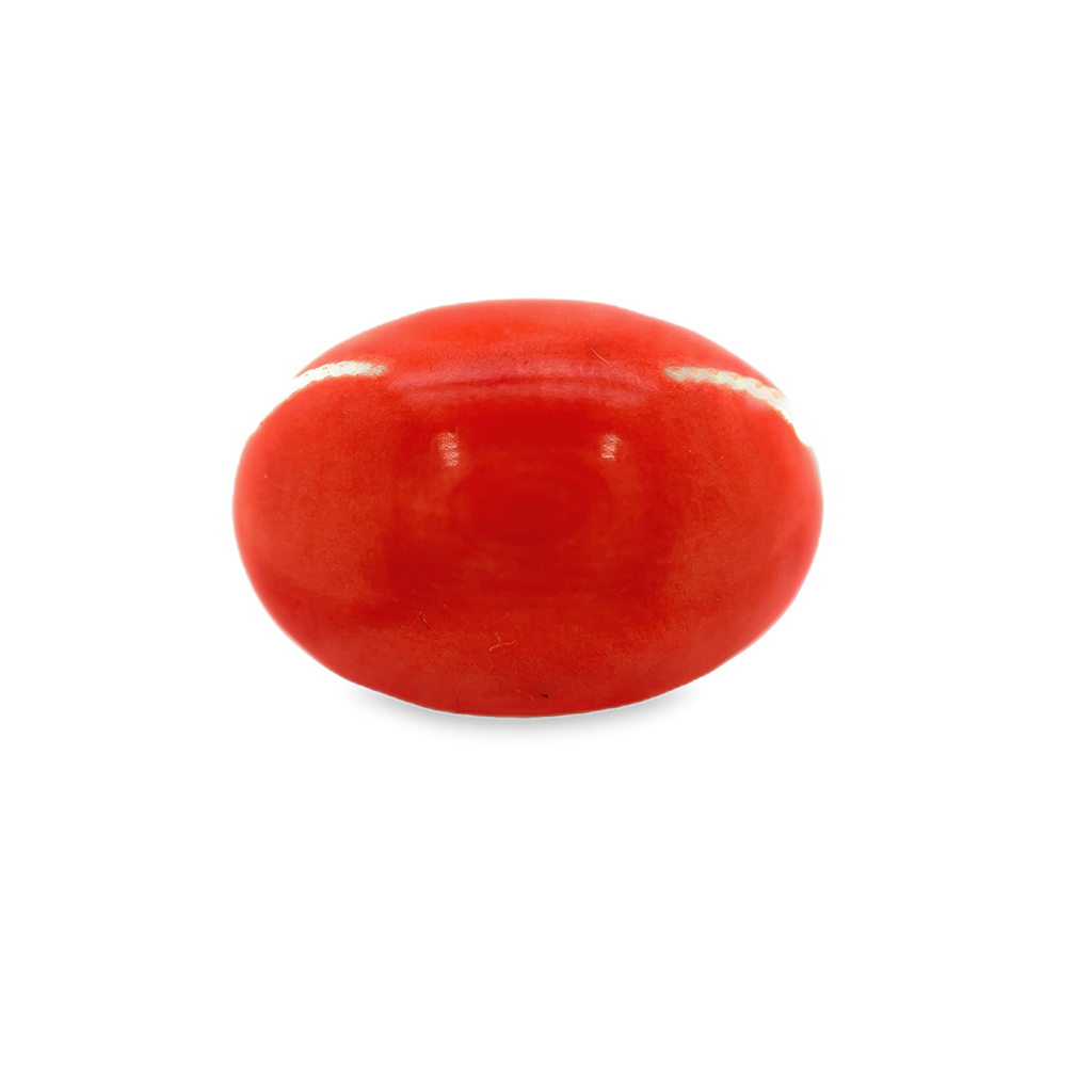 7.31 Cabochon Coral
