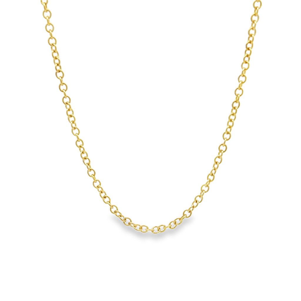 14K Yellow Gold Polished Rolo Chain 2.3mm Wide 20"