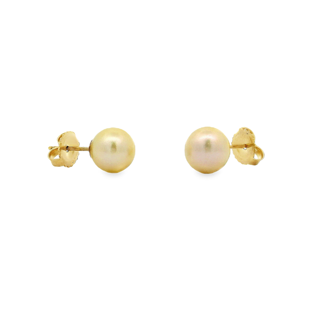 14K Yellow Gold Akoya Pearl Stud Earrings – 8–8.5mm