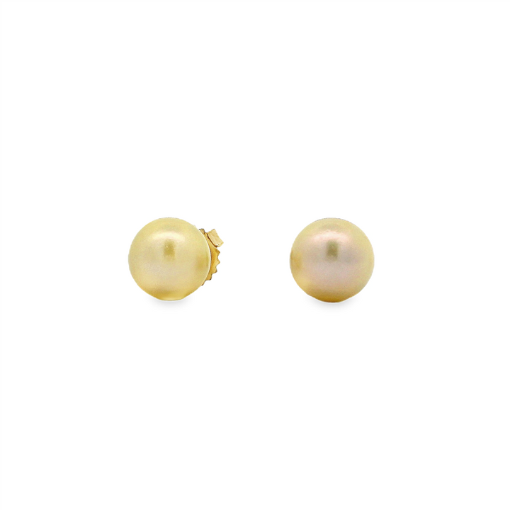 14K Yellow Gold Akoya Pearl Stud Earrings – 8–8.5mm