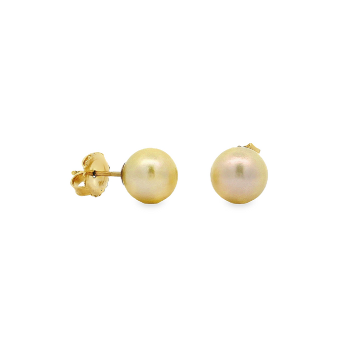 14K Yellow Gold Akoya Pearl Stud Earrings – 8–8.5mm