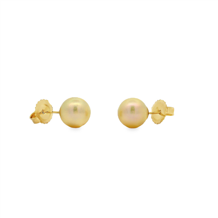 14K Yellow Gold Akoya Pearl Stud Earrings – 8–8.5mm