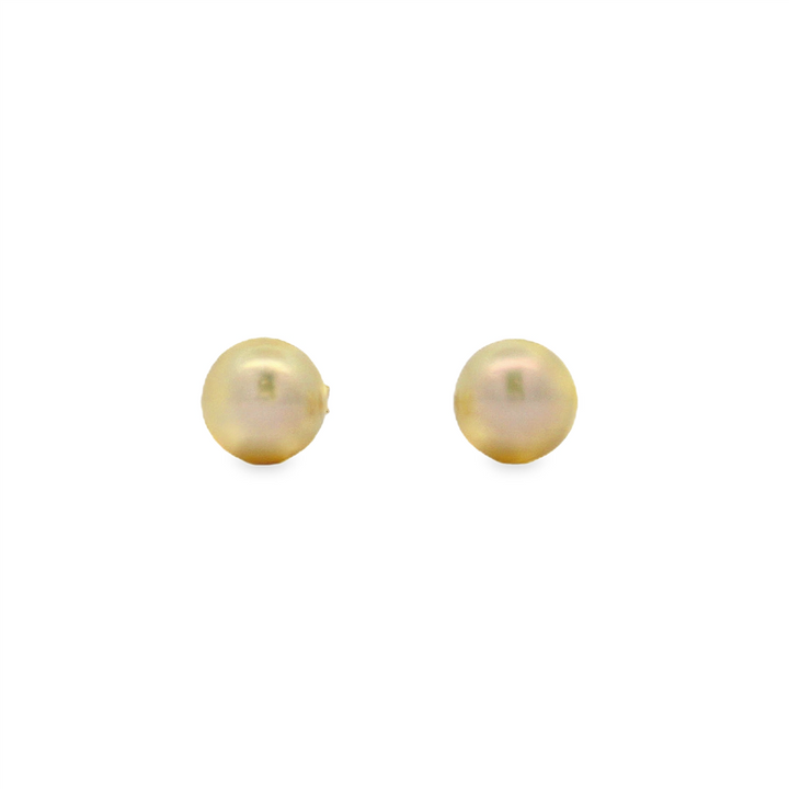 14K Yellow Gold Akoya Pearl Stud Earrings – 8–8.5mm