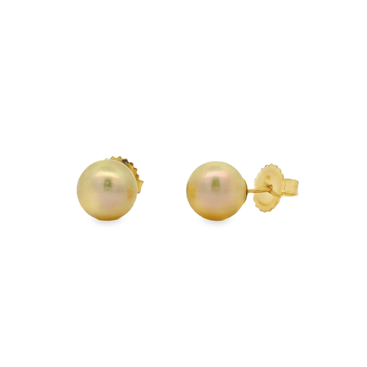 14K Yellow Gold Akoya Pearl Stud Earrings – 8–8.5mm