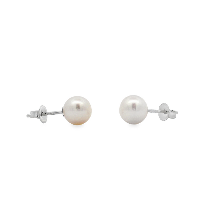 14K White Gold Freshwater Pearl Stud Earrings – 6.5–7mm